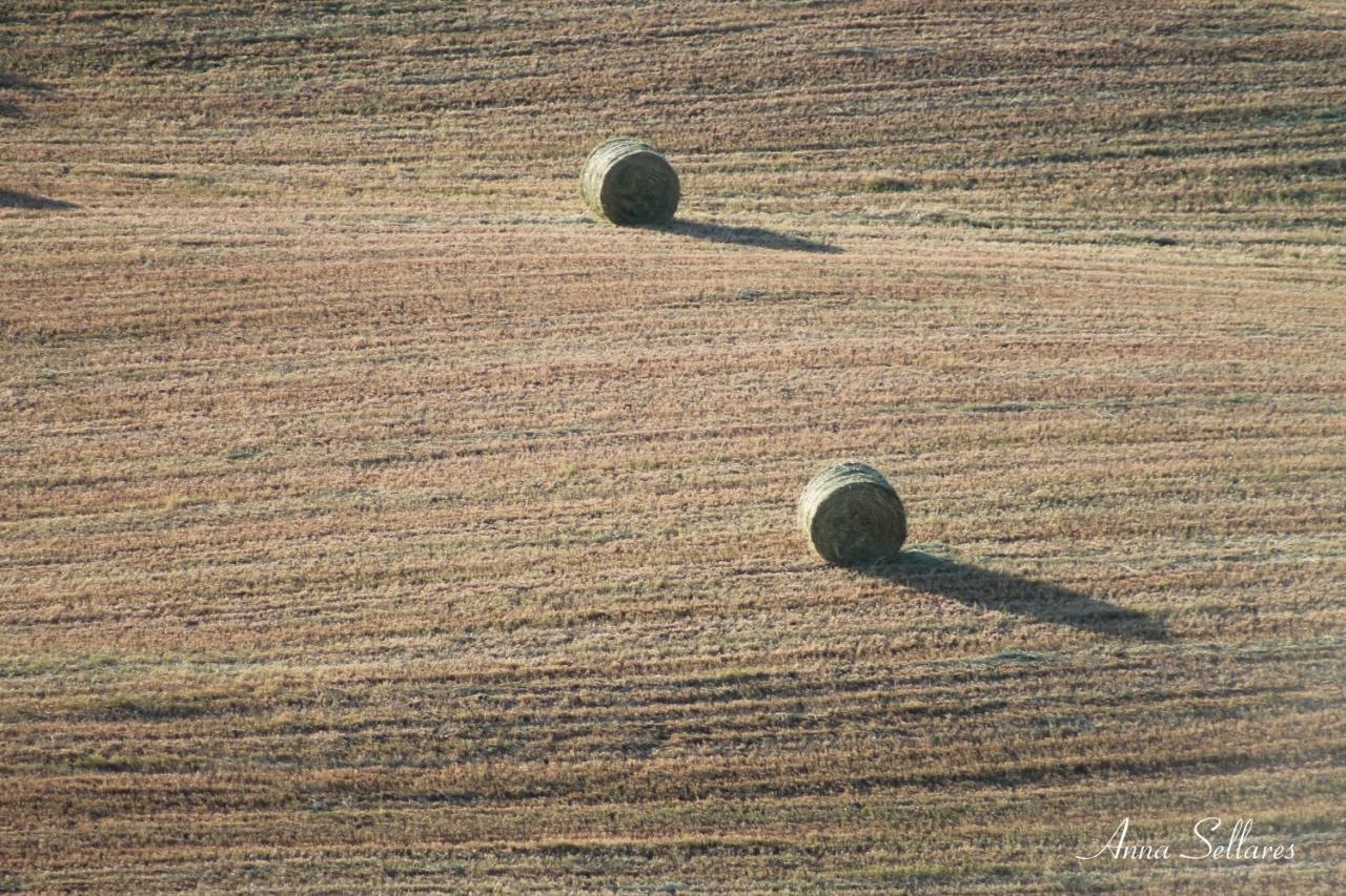 Soleluna San Quirico dʼOrcia Exteriör bild