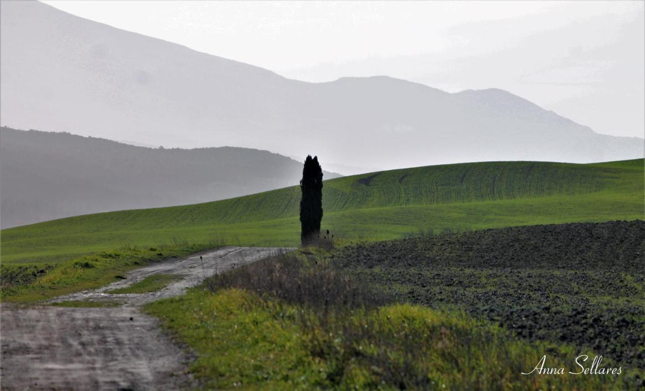 Soleluna San Quirico dʼOrcia Exteriör bild